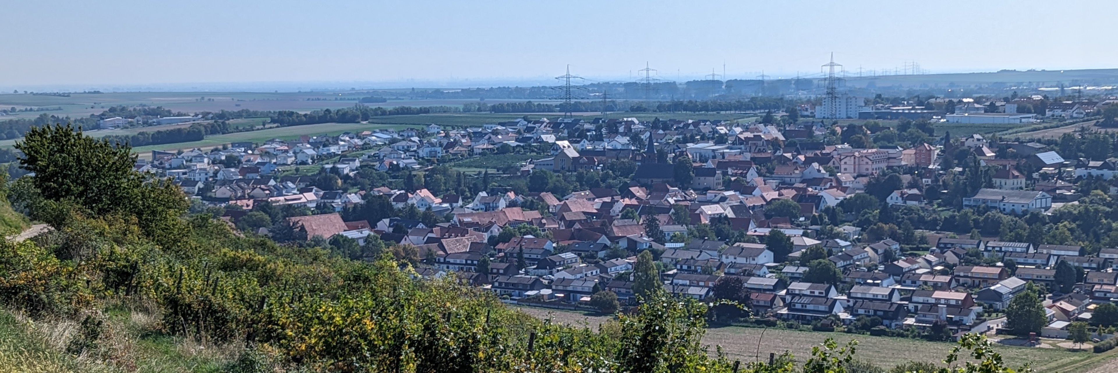 Aussicht auf Asselheim von oben