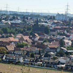 Ausblick auf Asselheim