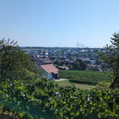 Ausblick auf Asselheim