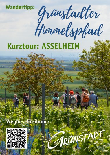 Foto in den Weinbergen zum Grünstadter Himmelspfad